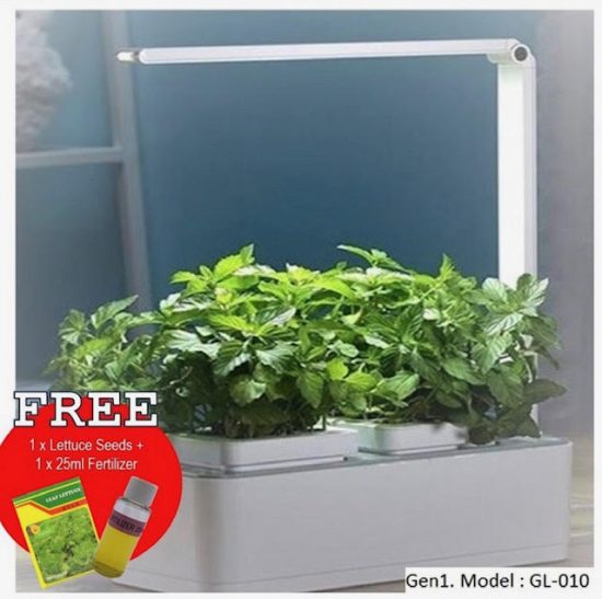 herb garden singapore hydroponics herb planter