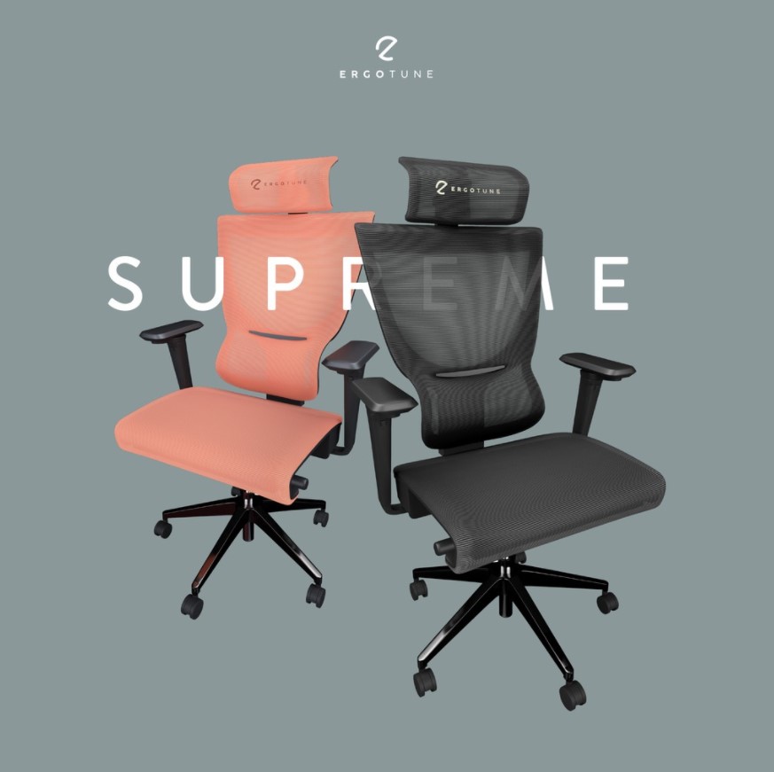 ErgoTune Supreme - Ergonomic Office Chair