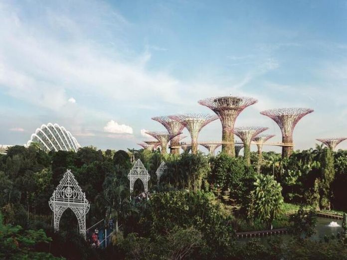 supertree singapore quiet places in singapore for couples