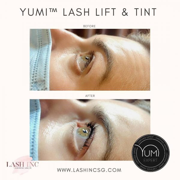 best lash lift singapore lash inc yumi tint treatment