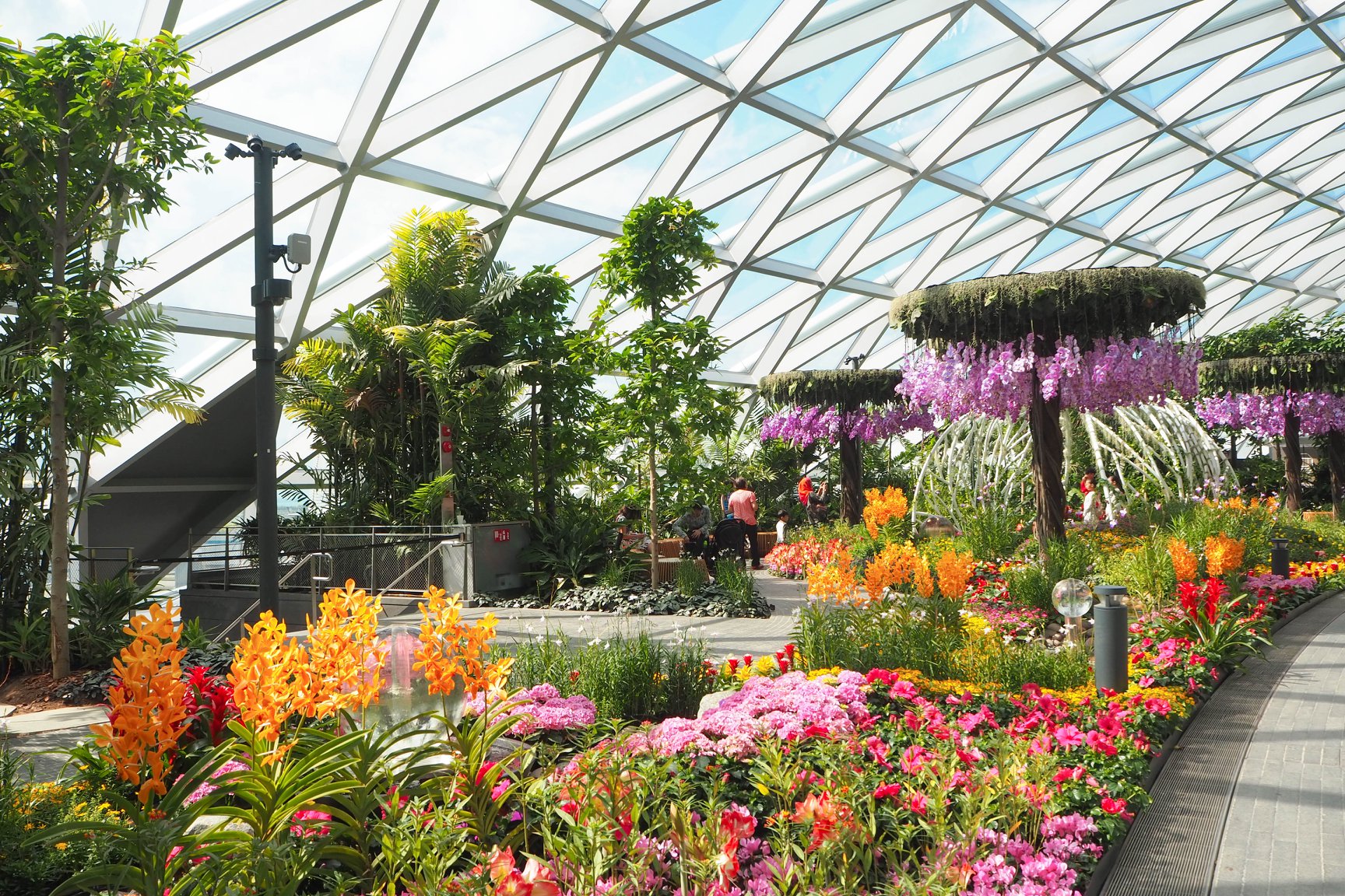 jewel changi singapore canopy park nature where to bring kids singapore