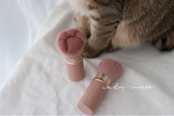 gifts for cat lovers cats meow taiwanese makeup brand paw brush