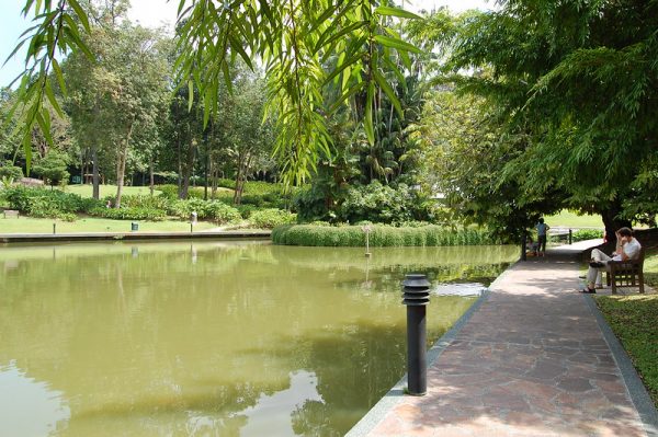picnic places singapore botanic gardens nature