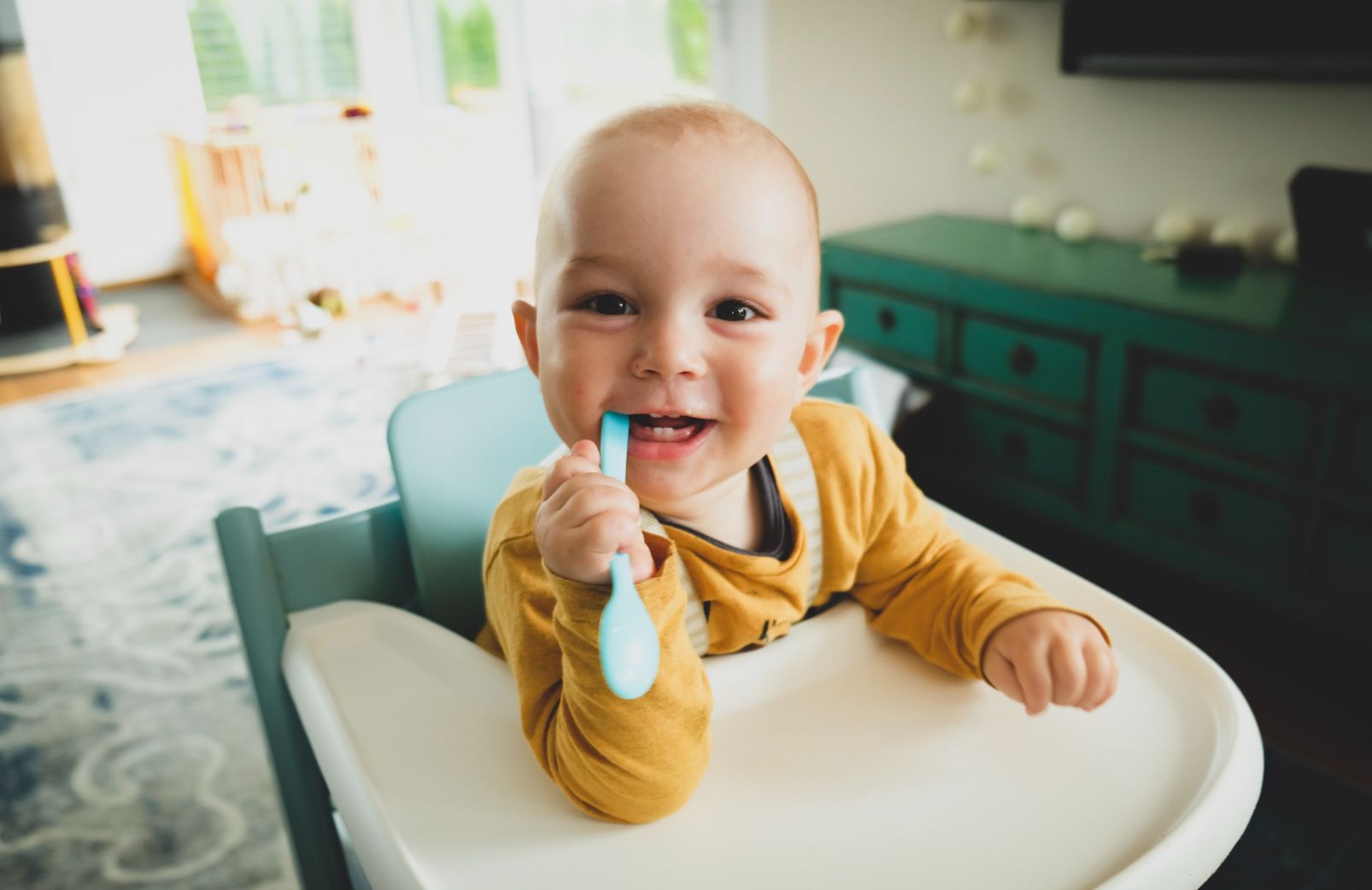best high chairs for babies what to look out for