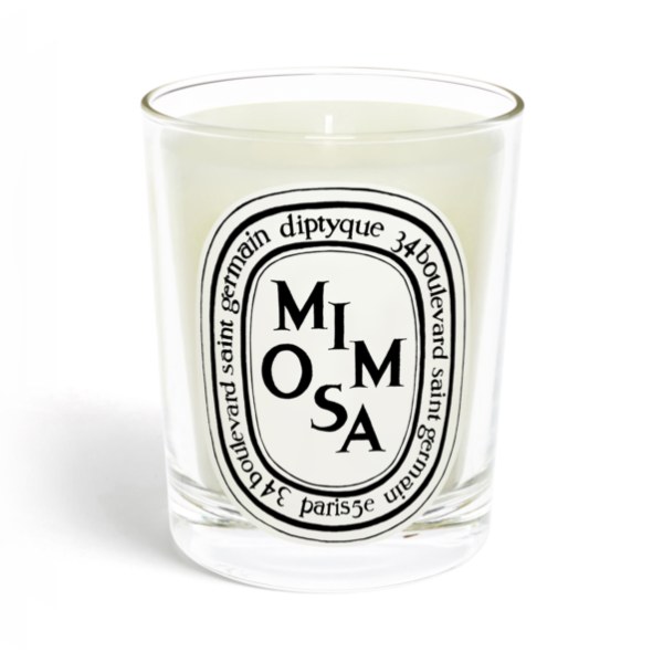 diptyque mimosa scented candle luxury fragrance floral