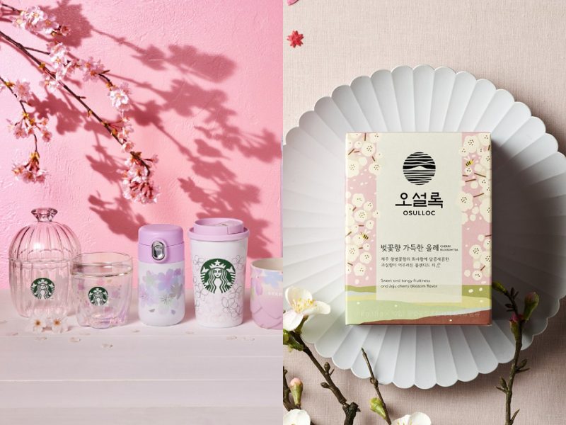 sakura collection 2022 cherry blossom starbucks tumbler osulloc tea