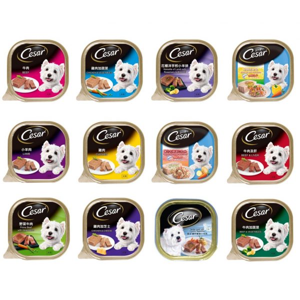 cesar best dog foods