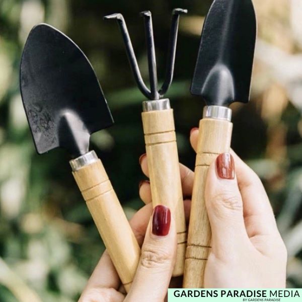 person holding basic gardening tools like spades with wooden handles