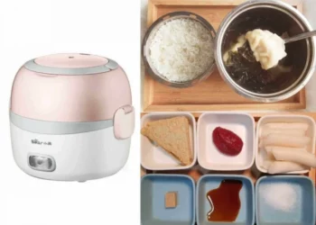 electric lunch box recipes