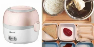 electric lunch box recipes