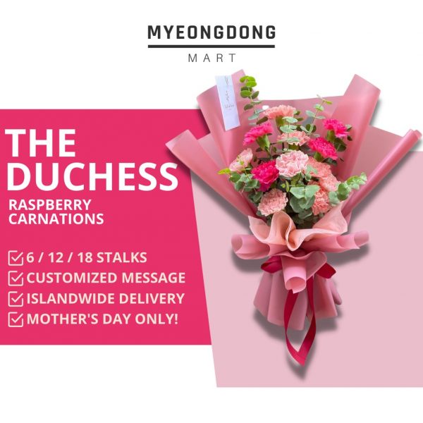 oh!mart myeongdong raspberry carnation for mothers day singapore delivery