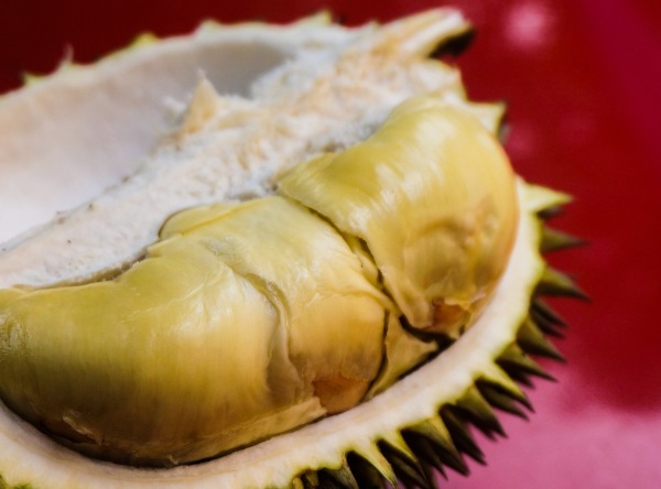 Hor Lor types of durians in singapore