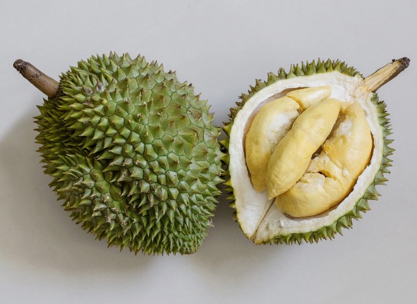 Tekka types of durians in singapore
