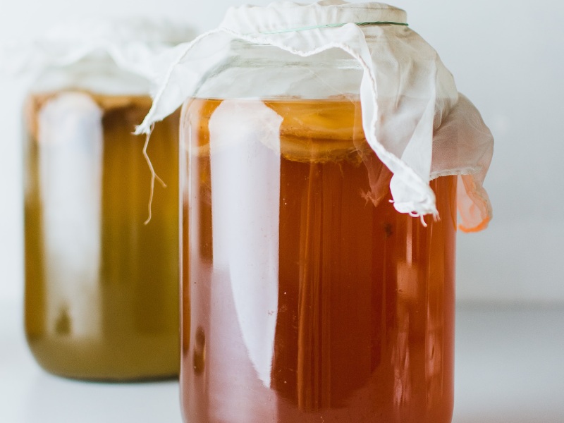 benefits of kombucha drink and where to buy it in singapore