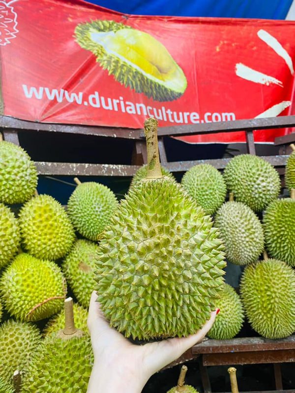 durian culture