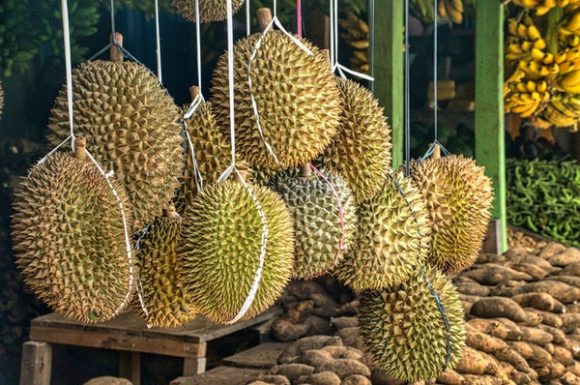 types of durians mao shan wang d24 price hanging at stall