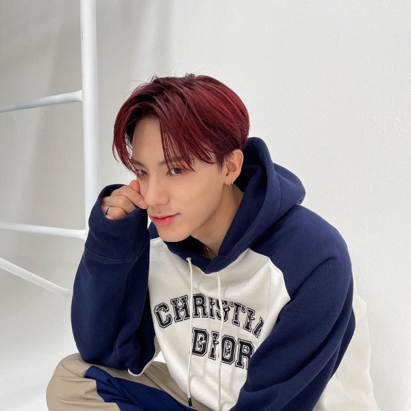 mahogany best hair colour for asian 2022 theboyz red brown