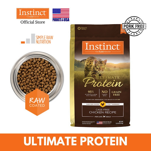 Best dry hotsell kibble for cats