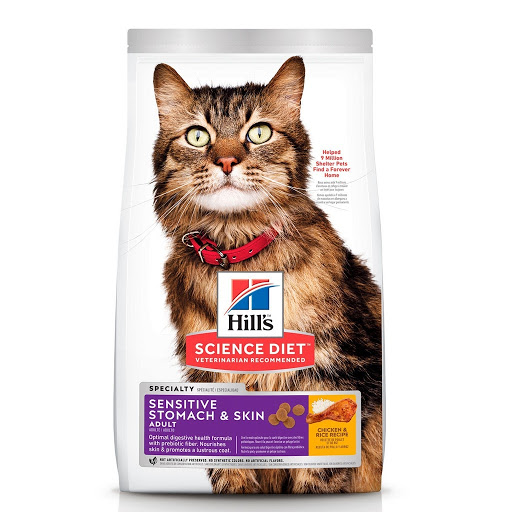 Best Dry Cat Food Recommended by Vets In Singapore