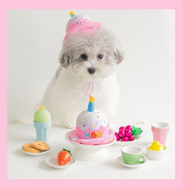 celebrating dog birthday with homemade cake recipe