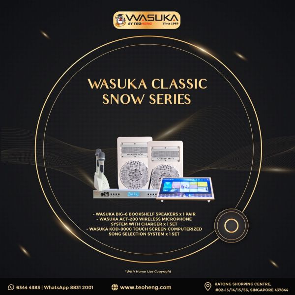 WASUKA Classic Snow Series Karaoke Package best home karaoke systems singapore