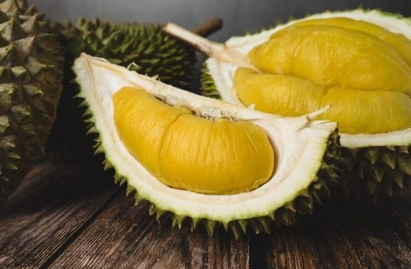 singapore durian fantasy delivery 2022