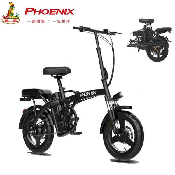 Phoenix P-g1 Foldable Electric Bicycle 
