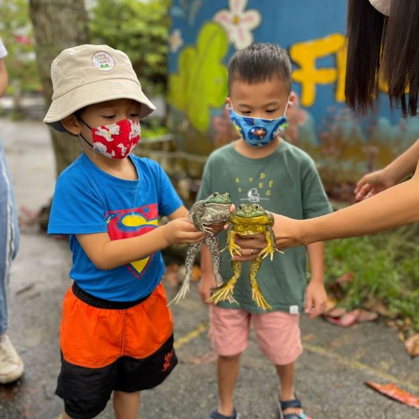 boy holding on to a frog at jurong frog farm