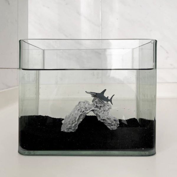 Minimalist Aquarium Design