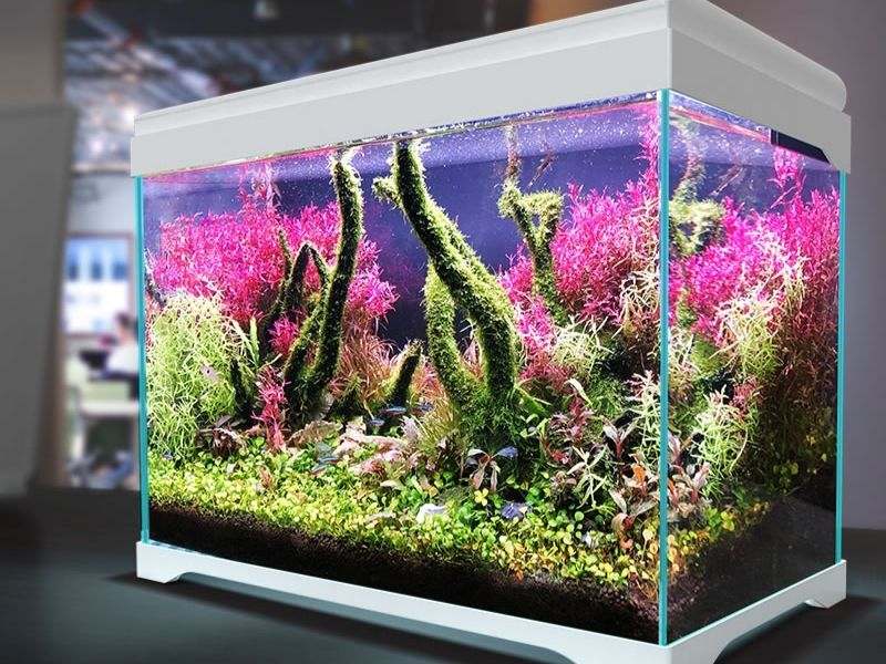 Diy 3 Feet Aquarium Light - YouTube