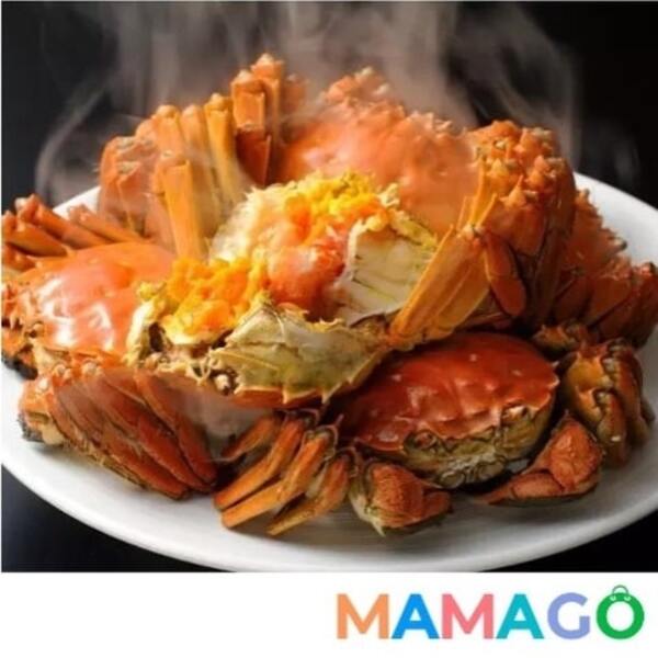 mamago hairy crabs