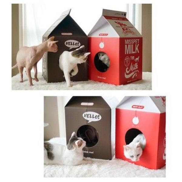 cat milk bed carton box cute red brown hiding spot