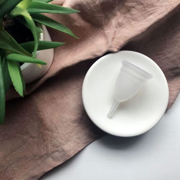 flatlay of clear menstrual cup on a white plate next to a plant
