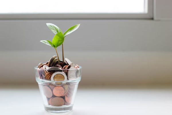 clear cup with coins and a plant