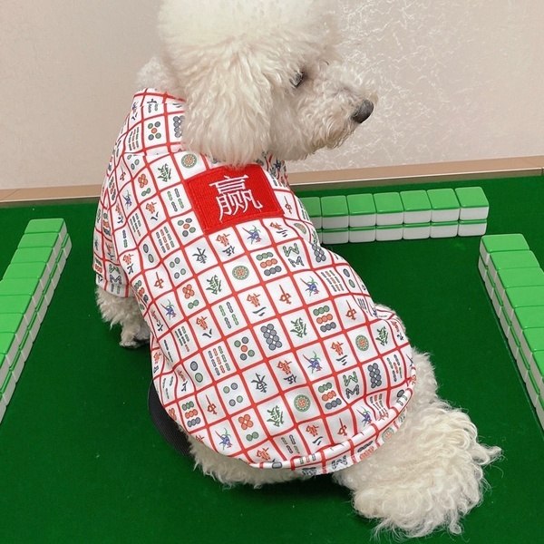 mahjong dog costume