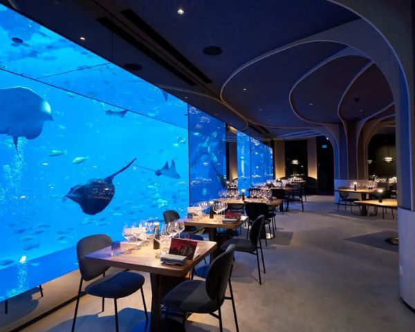 affordable romantic restaurants singapore 2023 ocean restaurant
