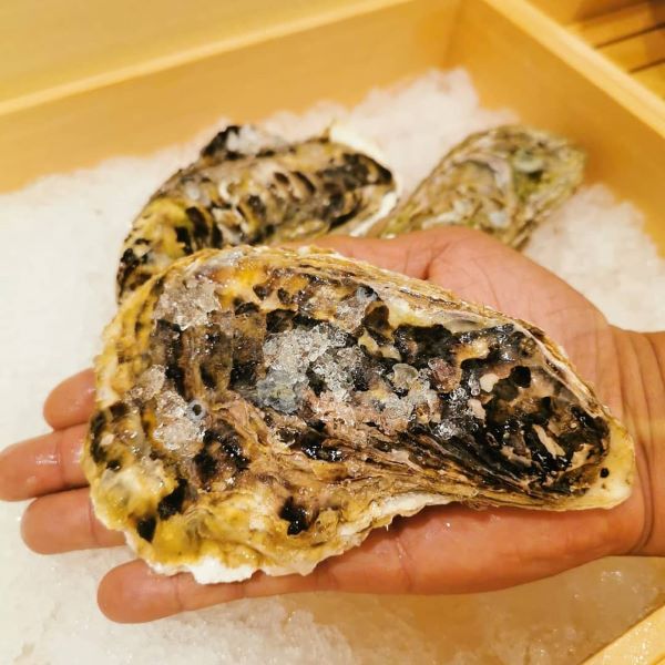 oyster on a palm affordable omakase singapore