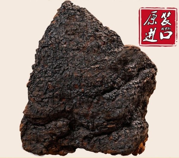 chaga mushroom block