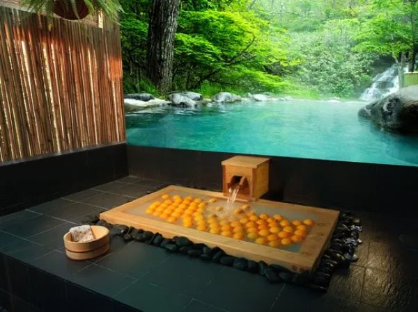 ikeda spa private onsen bath