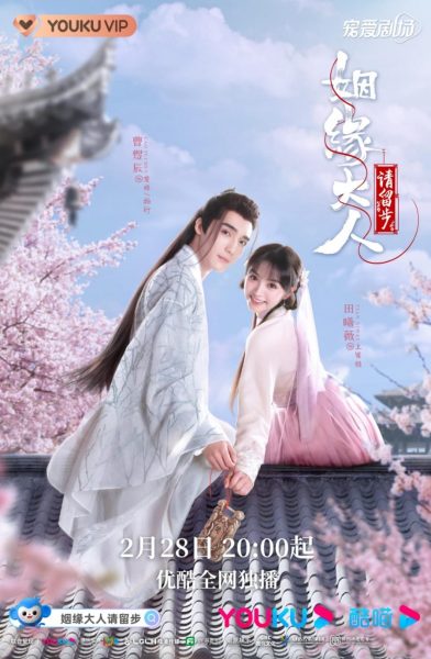 ms cupid in love best chinese drama 2022