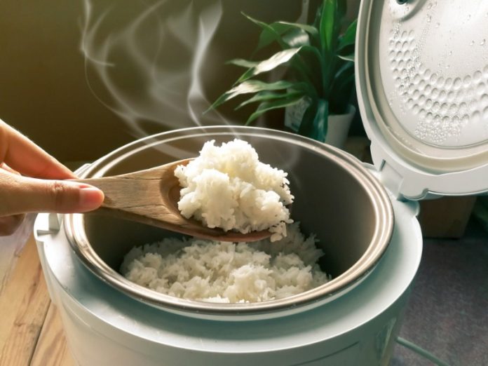 best rice cookers singapore 2022