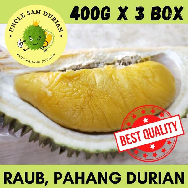 uncle sam durian