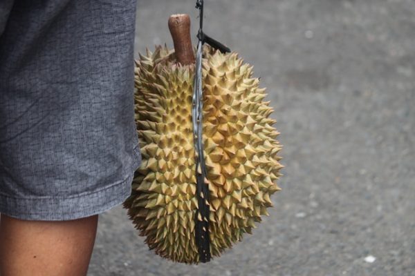 cut durian best durian stalls singapore