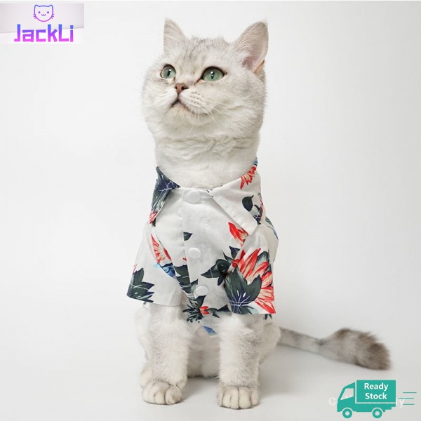 cat tropical shirt hawaii outfit fashion