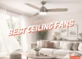 best ceiling fans singapore