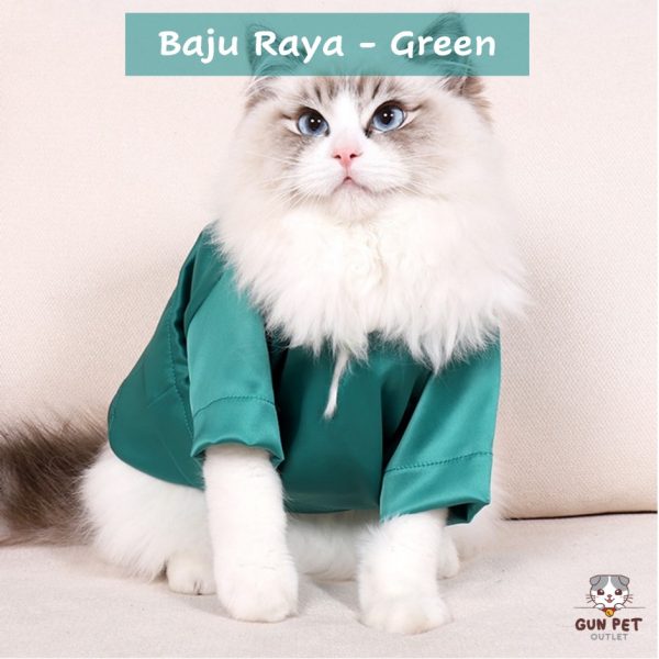 13 Adorable Cat Baju Kurung For Hari Raya [2022]