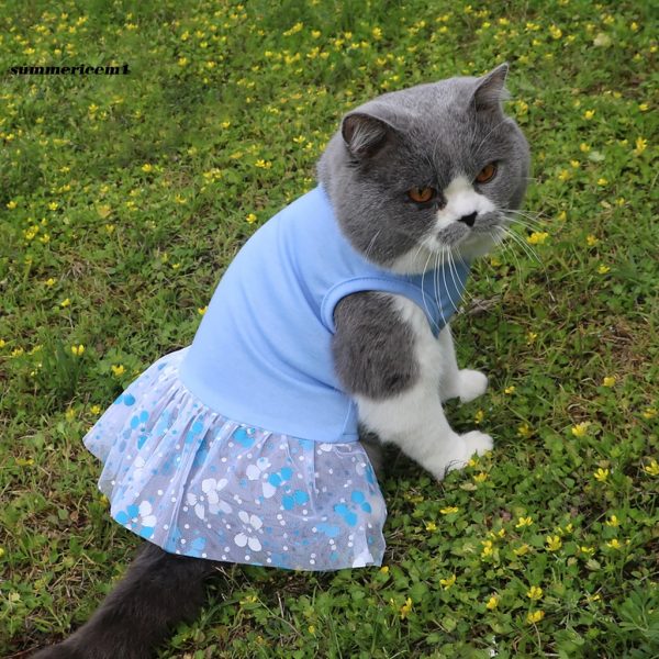 cat tulle dress outfit blue