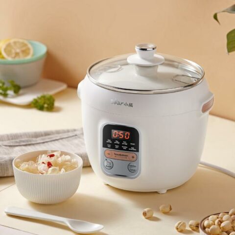 Best Slow Cookers Singapore: 11 Crock Pots for Healthy Meals