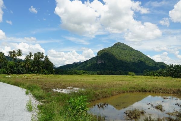 landscape view of mount pulai at johor bahru