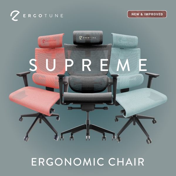 Ergotune Ergonomic Chair graduation gift ideas